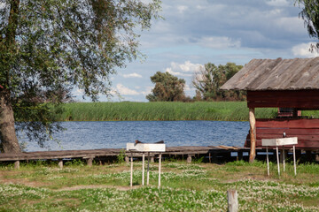Wooden gazebo by the lake on summer day