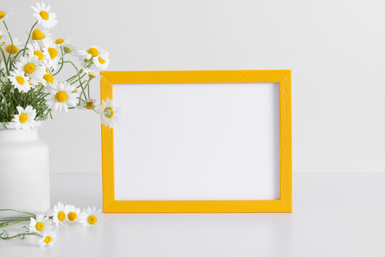 Empty yellow frame for text, spring and summer white chamomile flowers on white background. Copy space, front view.