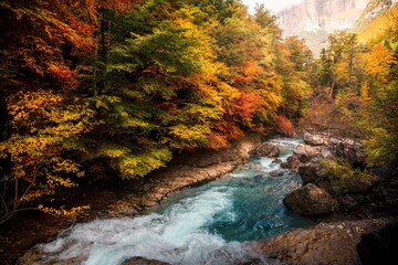 Autumn treasures in Ordesa and Monte Perdido: the Arazas river shines among the warm colors of the forest, a natural jewel in the Pyrenees of Aragon.
