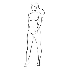 Fototapeta premium Silhouette of a nice lady, she is standing. The girl has a beautiful naked figure. The woman is a young sexy and slender model. Vector illustration.