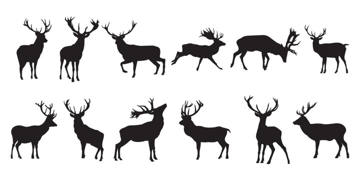 set of black deer animals silhouettes of wild deer's, vector, male, female and roe deer