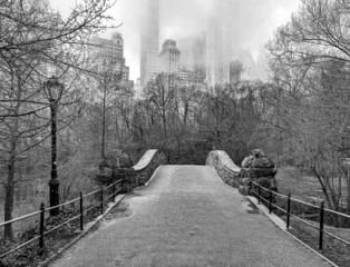 Photo sur Plexiglas Pont de Gapstow Gapstow Bridge in Central Park, foggy morning