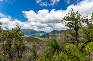 Fototapeta premium View of Mountains in Binna Burra Section of Lamington National Park, Queensland, Australia.