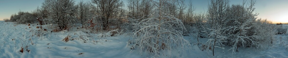 Panorama of a path through a snowy winter forest. A gloomy day after a heavy snowfall.
