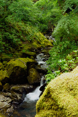Countryside Serenity: Where a Narrow Waterfall Paints Nature's Beauty