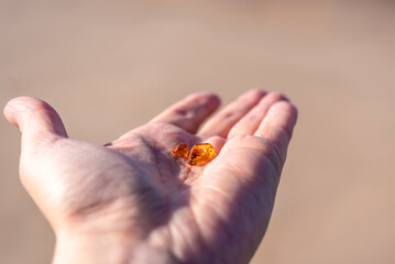 Woman's hand is holding small pieces of amber on the baltic sea beach on sunny day