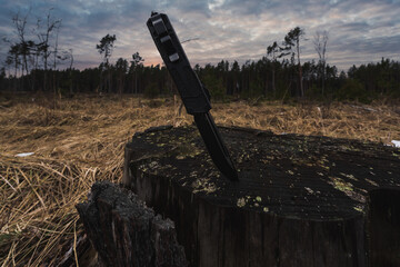A folding automatic knife is stuck into a dry stump in the forest.