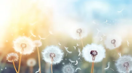 Fotobehang Abstract blurred nature background dandelion seeds parachute © CREATIVE STOCK
