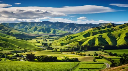 Fototapeten Rolling hills with vineyards in Marlborough © asmara