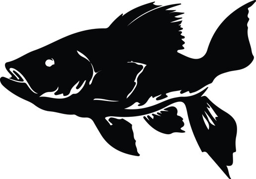 coelacanth silhouette