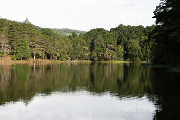 Beautiful panorama view of the calm lake in Costa Rica - Don Manuel Lake, and a baby black duck