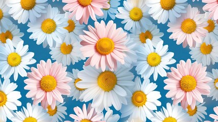 Simple seamless pattern with daisies 