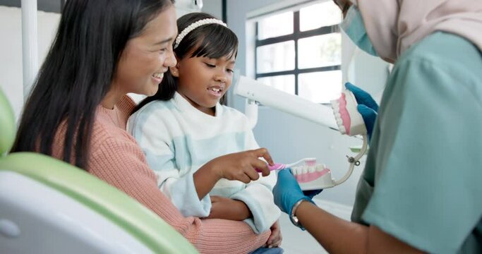 Kid, dentist or teaching on brushing teeth with toothbrush in practice or child friendly dentistry of tooth hygiene. Girl, mom or orthodontist by dental model or clean mouth in interactive education