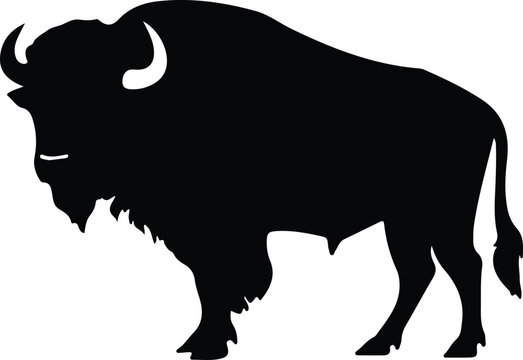 buffalo silhouette