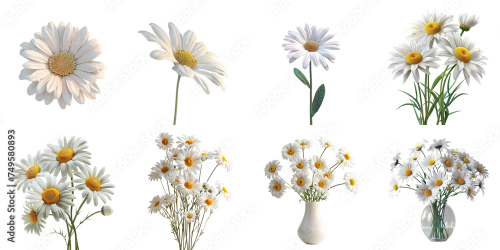 Wall mural set of daisy mockup in 3d without backoground png for decoration.