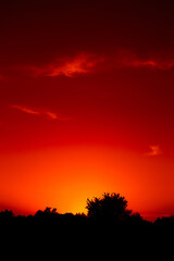 Fototapeta premium The sky at sunset, evening time