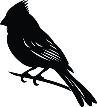 recommend clip art: cardinal silhouette
