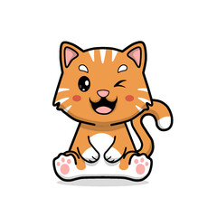 Orange cute chubby cat