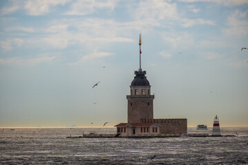 Maiden's Tower, seagulls in the sky and the Bosphorus
