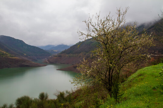 spring landscape