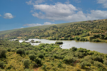 Obraz premium rio Guadiana