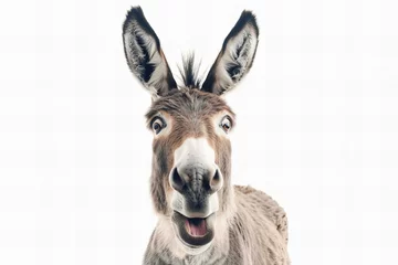 Zelfklevend Fotobehang Donkey Smiling on White Background © PapaGray