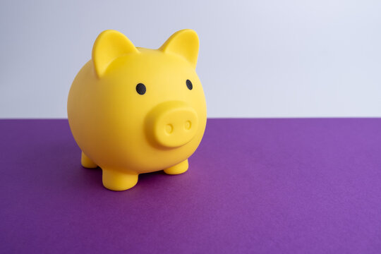 Piggy bank concept for savings, accounting, bank and business account. Small piggy bank for money and coins. Saving money concept
