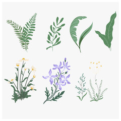 Plants Green leaf and Flowers background Modern Vector