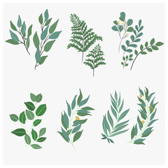 Plants Green leaf and Flowers background Modern Vector