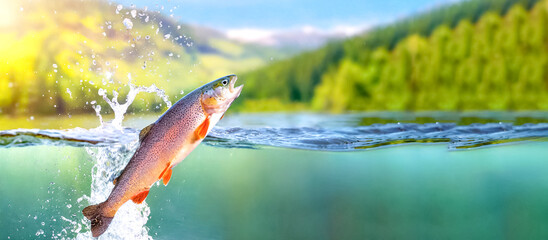 Fisch springt aus dem Wasser  - obrazy, fototapety, plakaty