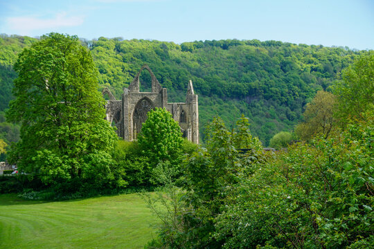 Tintern 