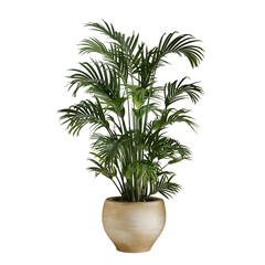 House plant in beige pot isolated on white background