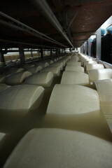 dairy factory