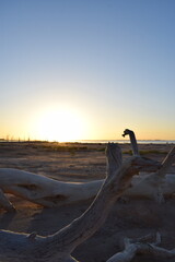 sunset on the beach