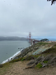 Fototapeta na wymiar View of the Golden Gate Bridge from the Battery Cranston overlook in San Francisco, California, USA.