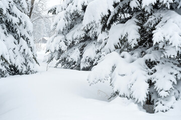 Cabin in the mountains during snowstorm; Grand Teton NP; Wyoming