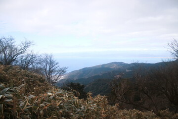 伊豆山稜線歩道