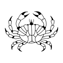 Crab. Vector stock illustration eps10. Isolate on white background, outline, hand drawing.