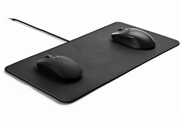 computer mouse
