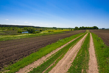 Fototapeta na wymiar Dirt road through the field with black soil. Spring landscape with farm fields