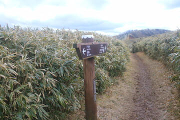 伊豆山稜線歩道
