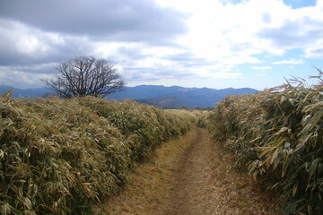 伊豆山稜線歩道