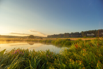 Fototapeta premium Landscape with lake and tall grasses on the background of sunrise and sky with clouds