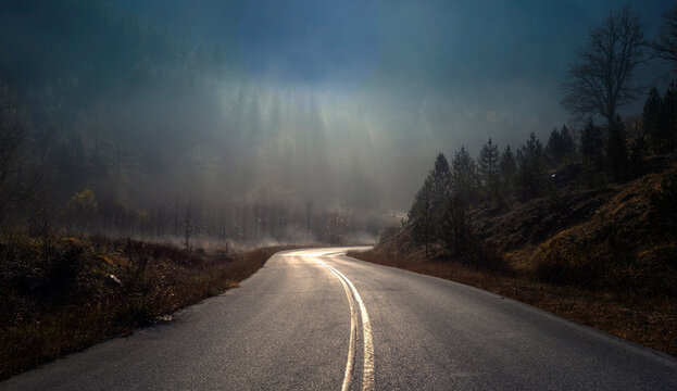 road to the fog