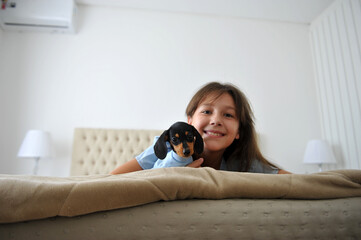 menina criança feliz a vontade em casa com cachorro de estimação filhote fofo de Dachshund 