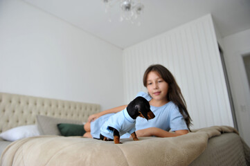menina criança feliz a vontade em casa com cachorro de estimação filhote fofo de Dachshund 