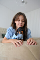 menina criança feliz a vontade em casa com cachorro de estimação filhote fofo de Dachshund 