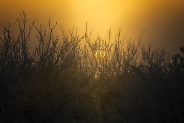 Dusty sunset at Big Bend National Park