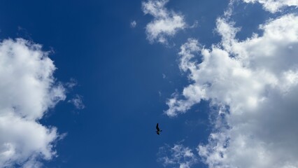 Cielo Riviera maya