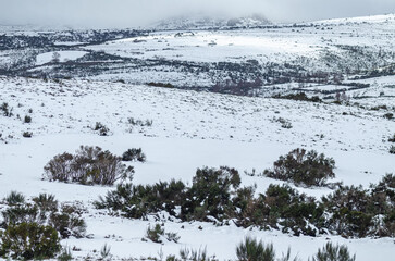 Winter landscape with snow in Peneda Geres National Park. North of Portugal